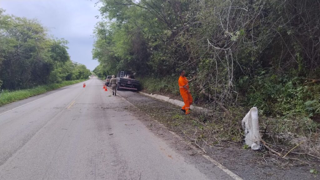 A 2ª Companhia do Batalhão de Polícia Rodoviária, por meio do 1º Pelotão em Jacobina, atuou na desobstrução de trechos da BR-324 e da BA-131 após a queda de árvores provocada pelas recentes chuvas e ventos na região.
