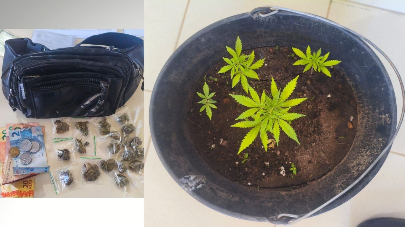 PMBA apreende maconha e conduz indivíduo à delegacia em Morro do Chapéu