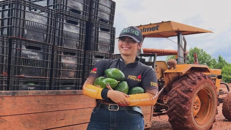 Abacate irrigado em Cafarnaum diversifica agricultura da região de Irecê