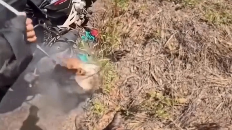 Motorista de ônibus força parada de motociclista por incêndio na moto